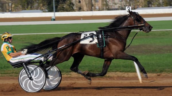 Foto: Stefan Melander/stalltz.se