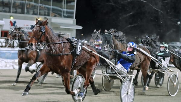 Foto: MARIA HOLMÉN / TR BILD