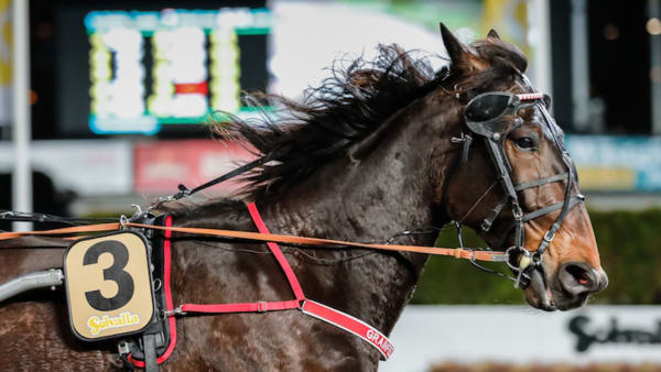 Foto: Lena Emmoth/TR Bild