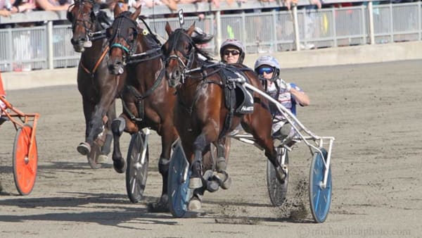 Foto: Adam Ström/Stalltz.se