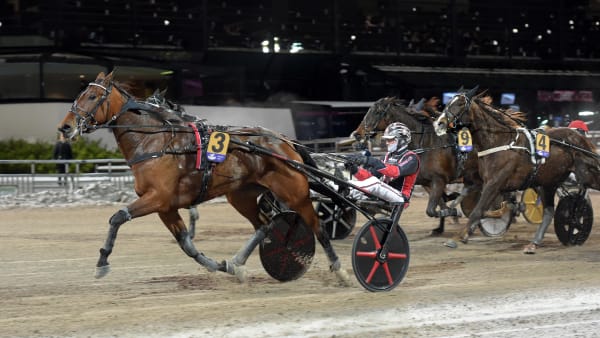 Foto: LARS JAKOBSSON / TR BILD