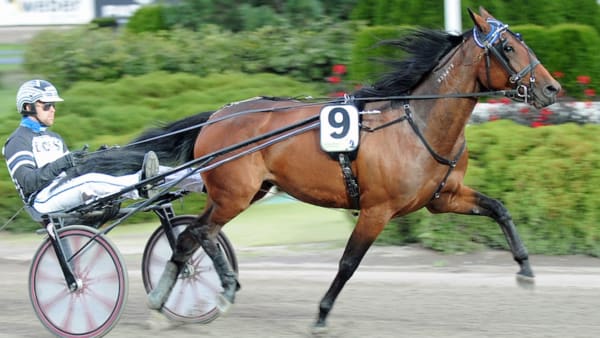 Foto: Claes Kärrstrand/TR Bild