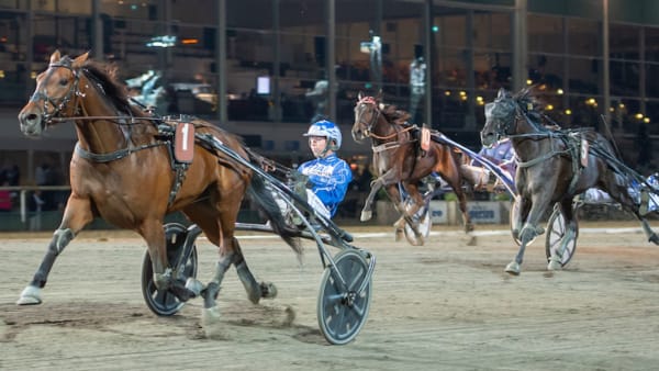 Foto: Mikael Rosenquist/TR Bild