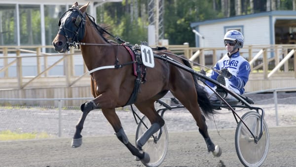 Foto: LARS JAKOBSSON / TR BILD