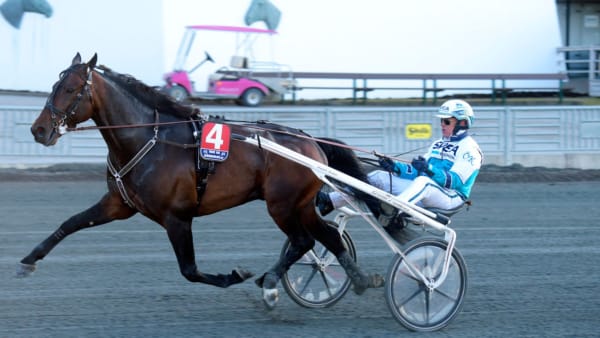 Foto: Martin Langels/ALN