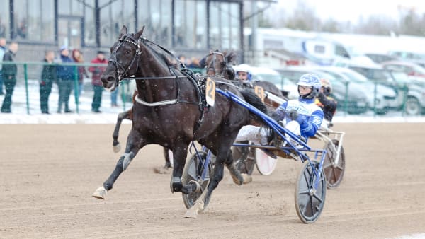 Foto: Maisa Hyttinen/Suomen Hippos