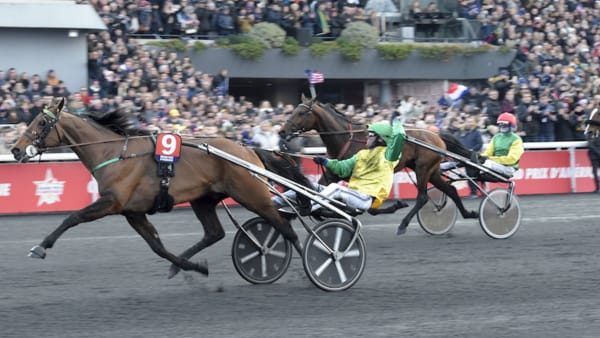 Foto: Lars Jakobsson/TR Bild