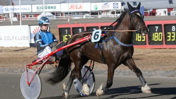 Foto: MICKE GUSTAFSSON/ALN