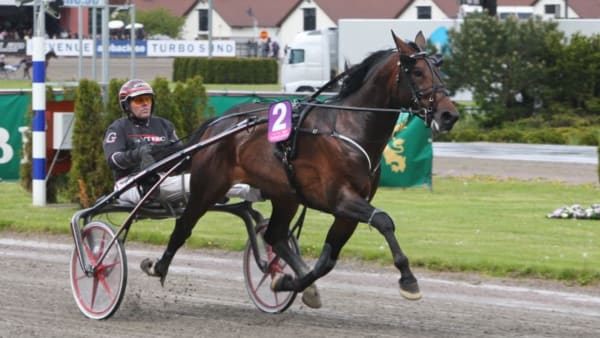 Foto: JEANNIE KARLSSON