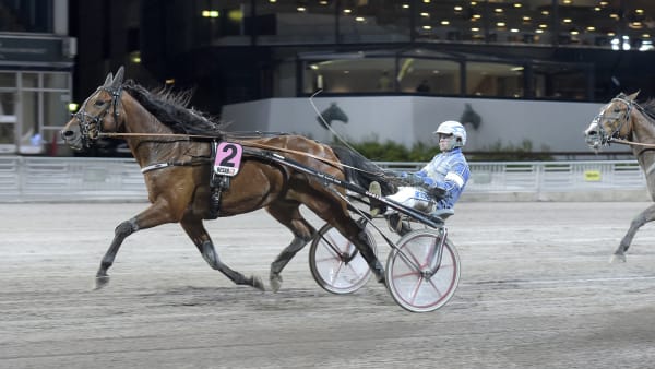 Foto: LARS JAKOBSSON / TR BILD