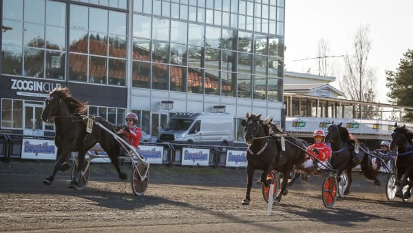 Foto: DAVID SCHREINER / TR BILD