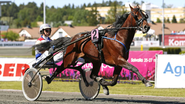 Foto: MARIA HOLMÉN/TR BILD