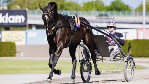 Foto: LENA EMMOTH / TR BILD