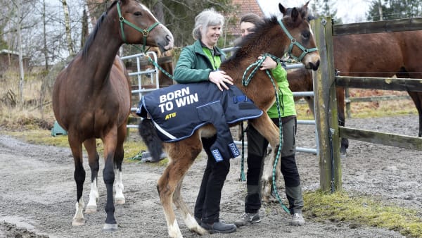 Foto: LARS JAKOBSSON / TR BILD