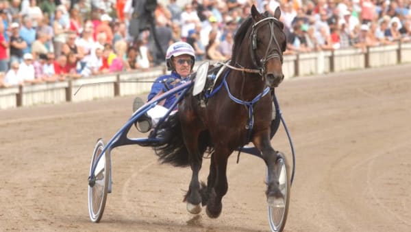 Foto: MICKE GUSTAFSSON/ALN