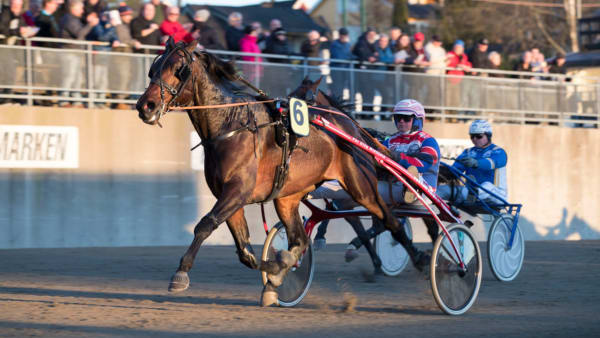 Foto: Roger Svalsröd/TR Bild