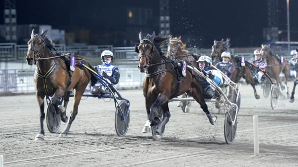 Foto: LARS JAKOBSSON / TR BILD