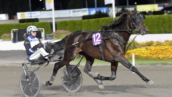 Foto: LARS JAKOBSSON / TR BILD