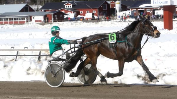 Foto: MICKE GUSTAFSSON/ALN