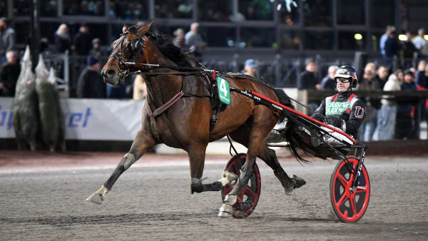 Foto: MALIN ALBINSSON / TR BILD