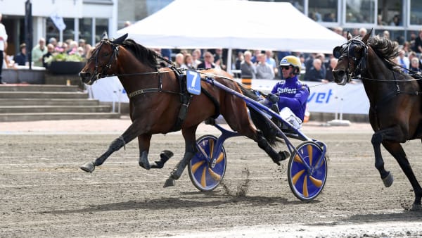 Foto: MALIN ALBINSSON / TR BILD