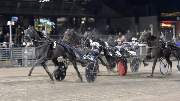 Foto: LARS JAKOBSSON / TR BILD