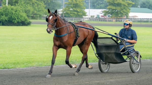 Foto: Thomas Blomqvist/TR Bild