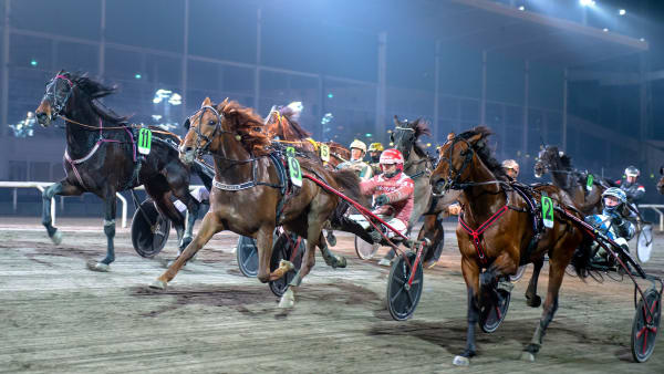 Foto: MIKAEL ROSENQUIST / TR BILD