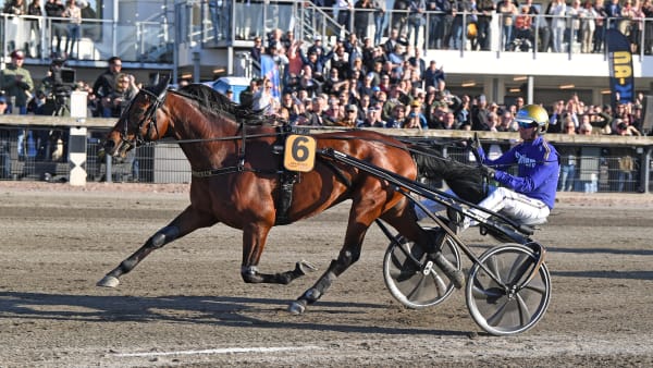 Foto: MALIN ALBINSSON / TR BILD