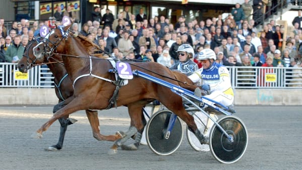 Foto: PETRI JOHANSSON/TR BILD