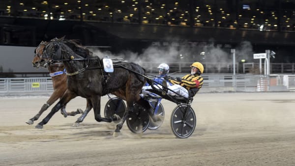 Foto: LARS JAKOBSSON / TR BILD