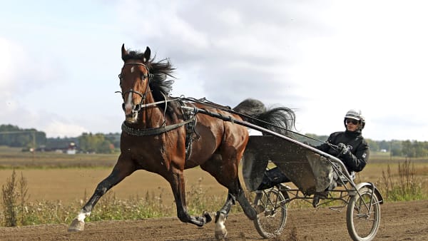 Foto: MARIA HOLMÉN / TR BILD