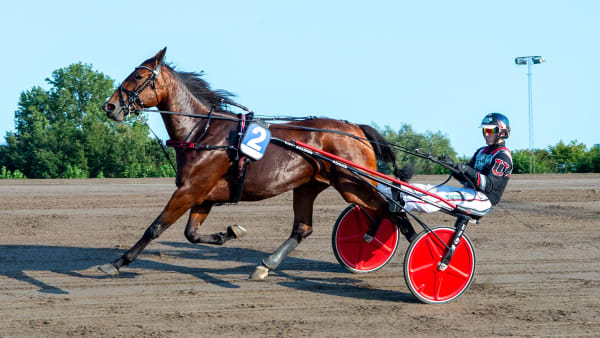 Foto: MIKAEL ROSENQUIST / TR BILD