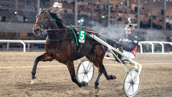 Foto: MIKAEL ROSENQUIST / TR BILD