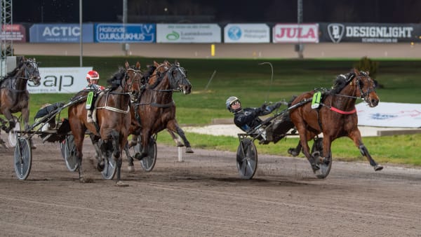 Foto: MIKAEL ROSENQUIST / TR BILD