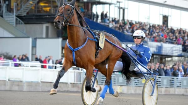 Foto: MARTIN LANGELS/ALN