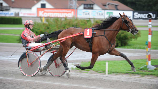 Foto: THOMAS BLOMQVIST / TR BILD