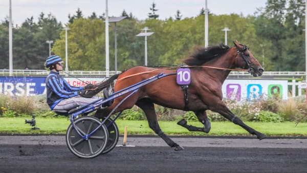 Foto: BRUNO VANDEVELDE/ LE TROT