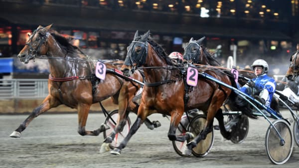 Foto: Lars Jakobsson/Kanal 75