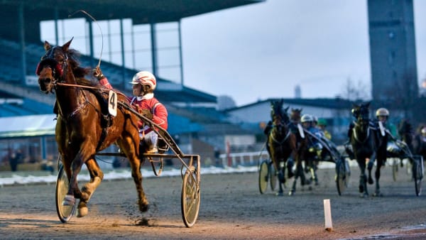 Foto: Burt Seeger/Kanal 75