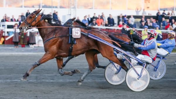 Foto: OLA WESTERBERG/ALN