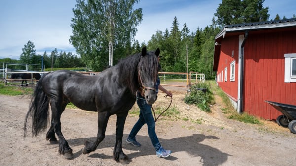 Foto: THOMAS BLOMQVIST / TR BILD