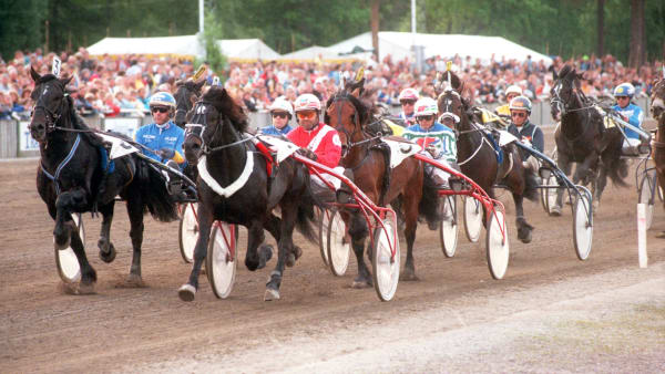 Foto: THOMAS BLOMQVIST / TR BILD