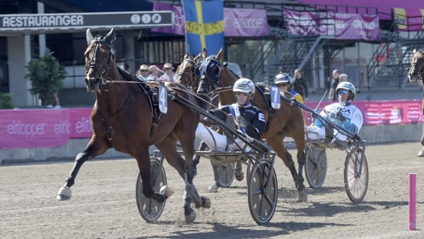 Foto: LARS JAKOBSSON / TR BILD