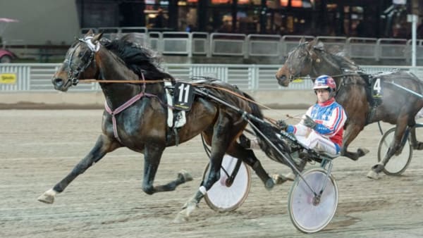 Foto: TOMMY ANDERSSON/ALN