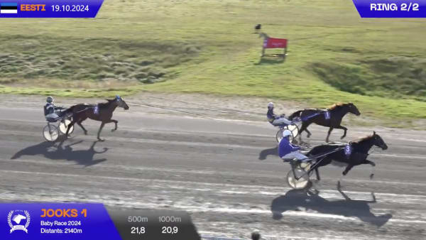 Foto: Hippodroom Tallin/Youtube