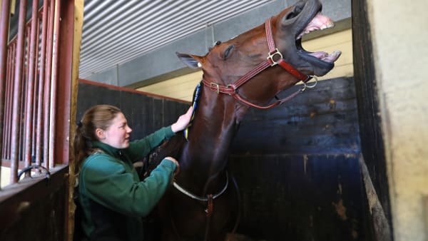 Foto: MARIA HOLMÉN / TR BILD