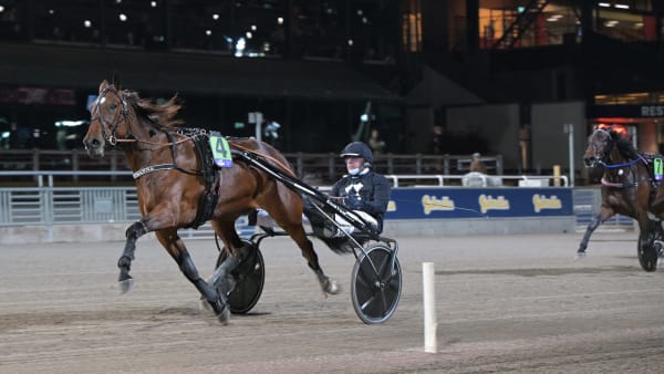 Foto: LARS JAKOBSSON / TR BILD