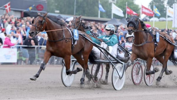 Foto: MIA TÖRNBERG/TRAVRONDEN