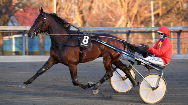 Foto: MALIN ALBINSSON / TR BILD